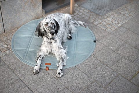 1. Dog lying on Okka travel mat in soft teal on urban pavement