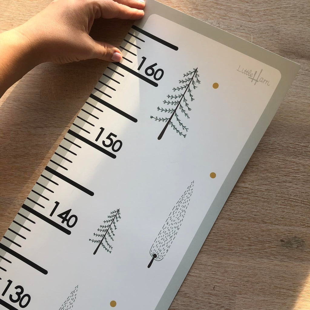 3. Close-up of Little Harri paper growth chart with fir tree design and measurement scale
