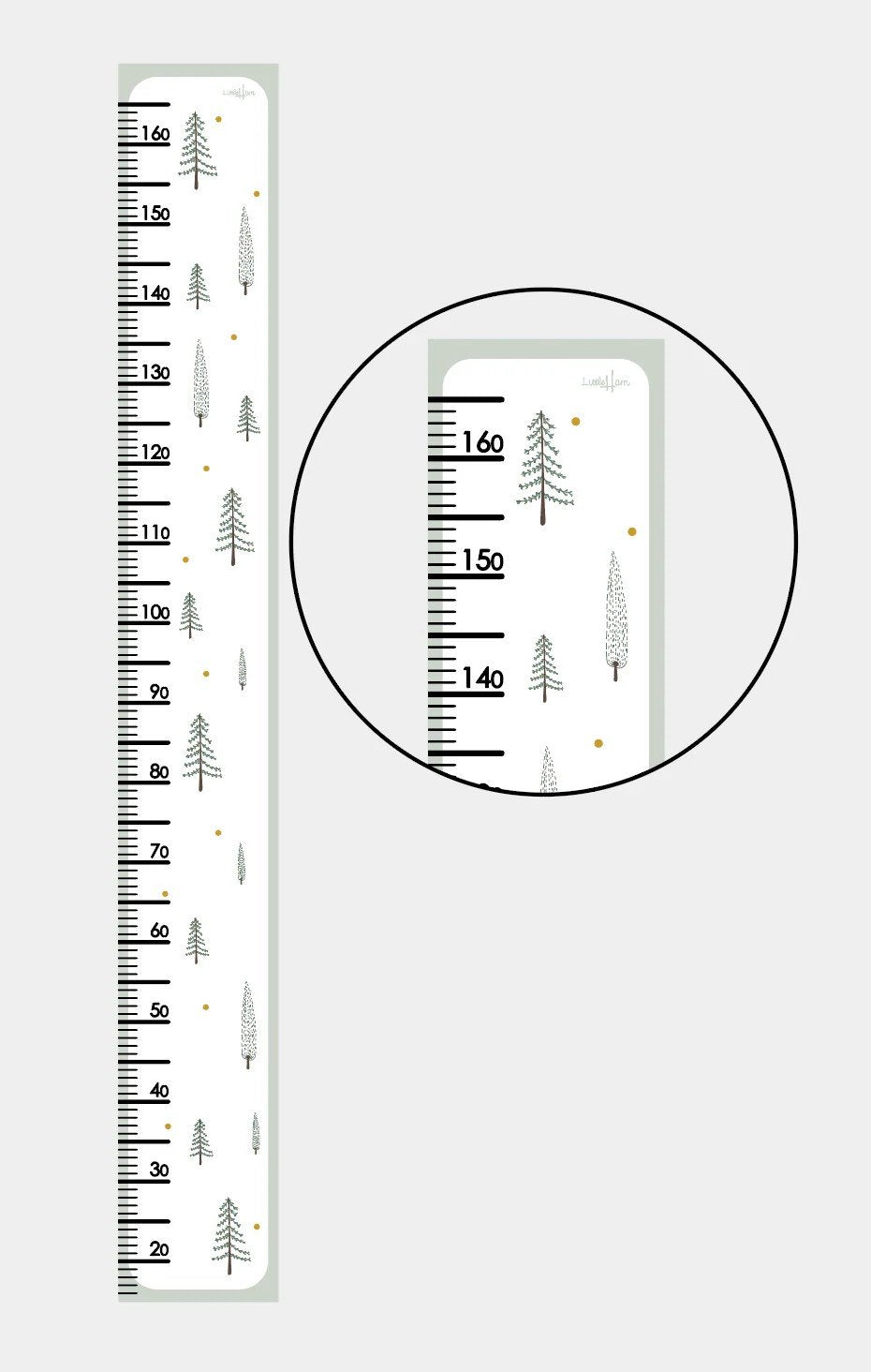 2. Little Harri paper growth chart with fir tree design and measurement scale up to 165 cm