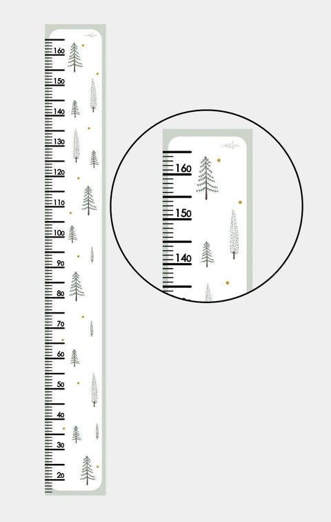 2. Little Harri paper growth chart with fir tree design and measurement scale up to 165 cm