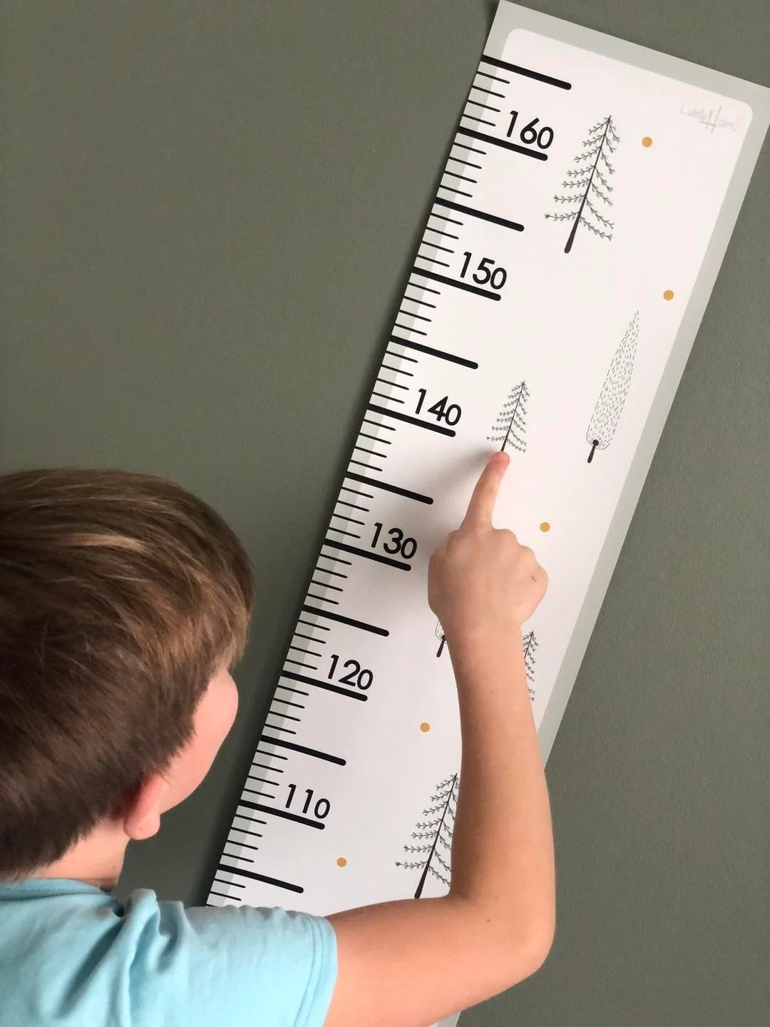 1. Child pointing at Little Harri paper growth chart with fir tree design on wall