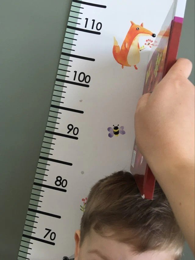2. Child being measured against a paper growth chart with animal illustrations, including a fox and bee, using a book for accuracy