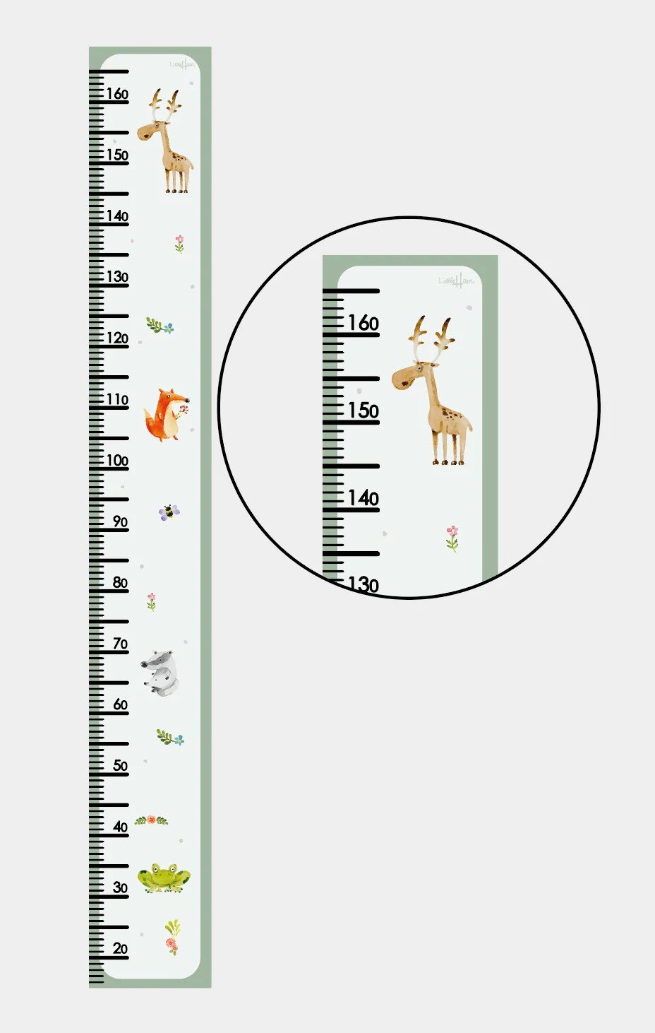 3. Detailed view of children's paper growth chart with animal illustrations, including a giraffe, fox, and frog, on a white background