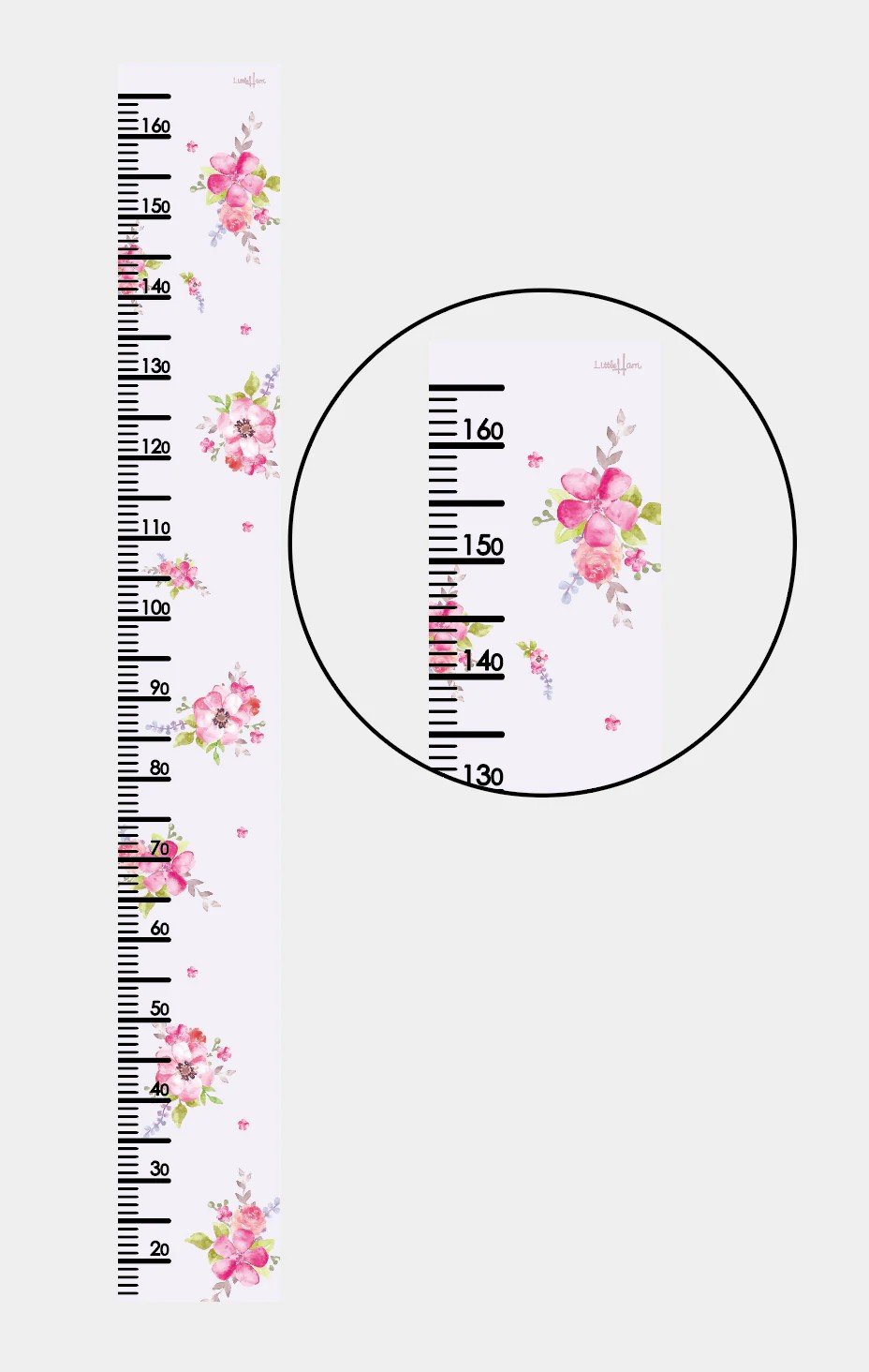 2. Studio shot of floral paper growth chart with close-up inset showing measurement details