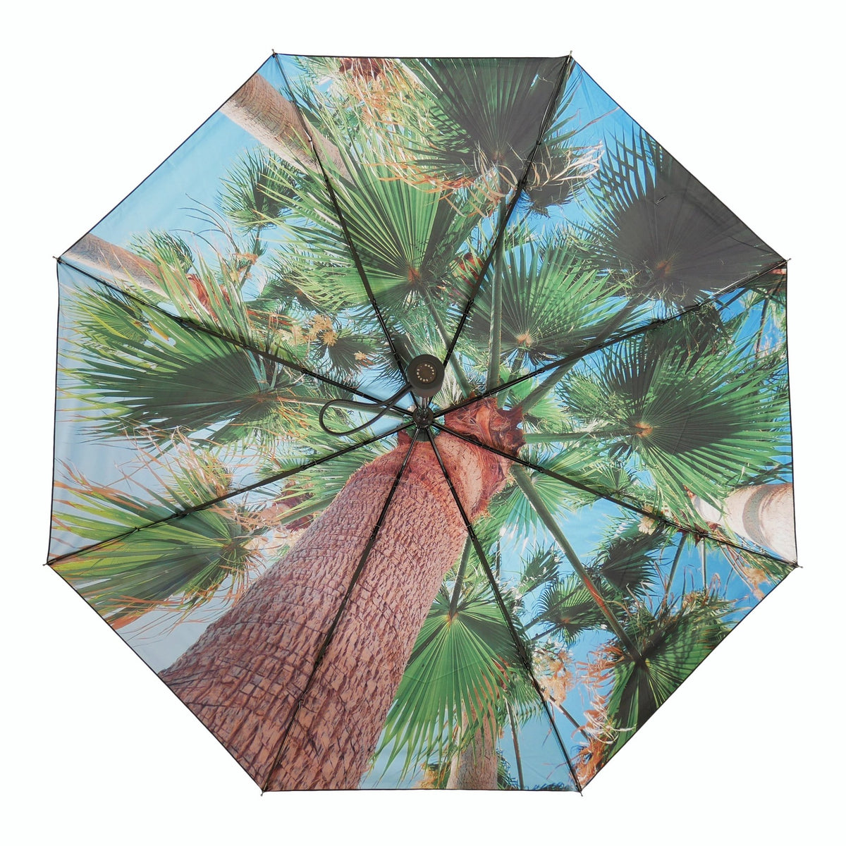 8. Open Paradise Umbrella with tropical print, showcasing palm tree design from above