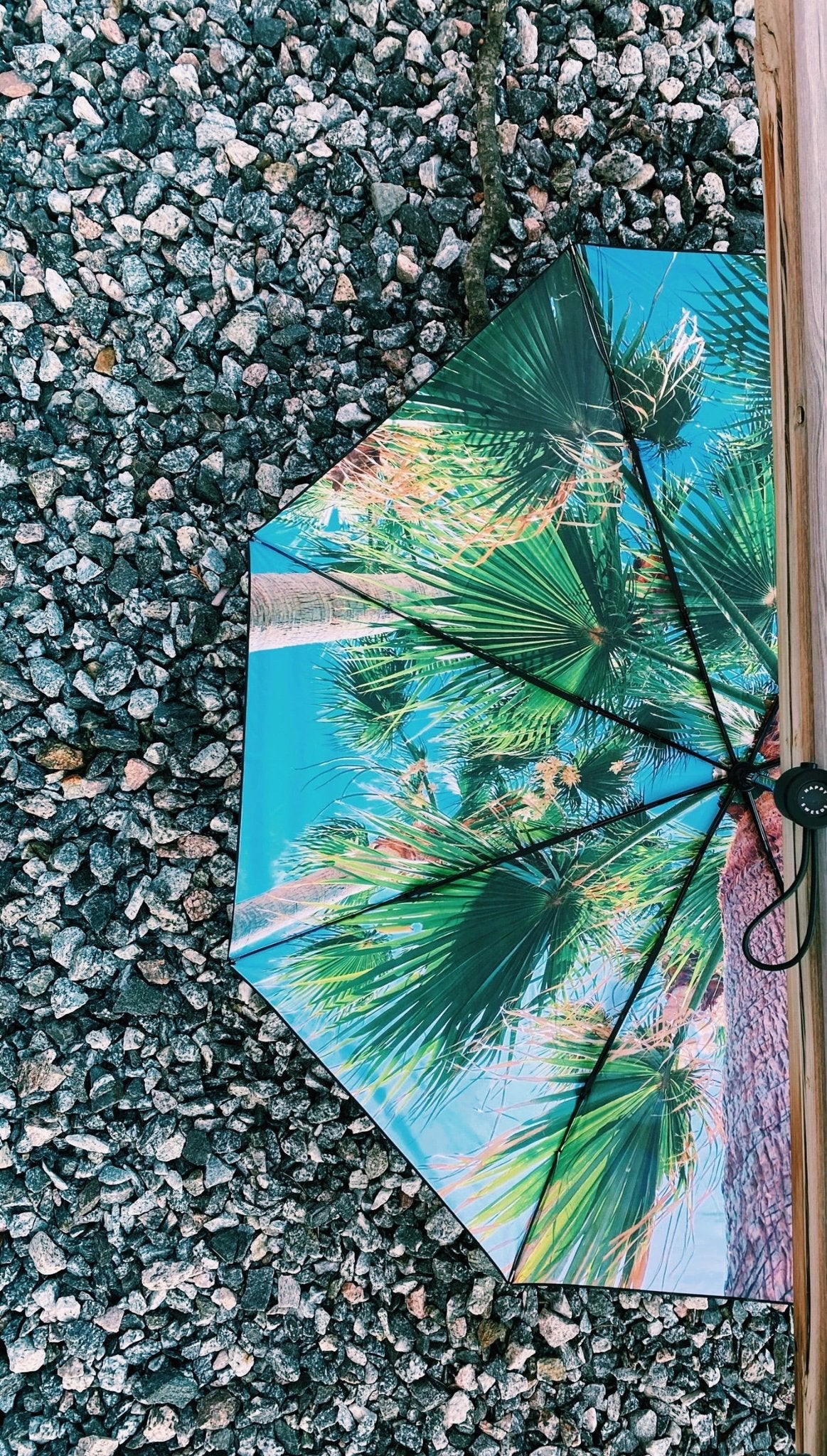 10. Open Paradise Umbrella with tropical print on gravel, highlighting palm tree design