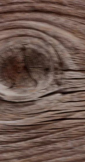 9. Close-up of textured wooden surface, symbolizing earthy notes in maar Ego Rex perfume