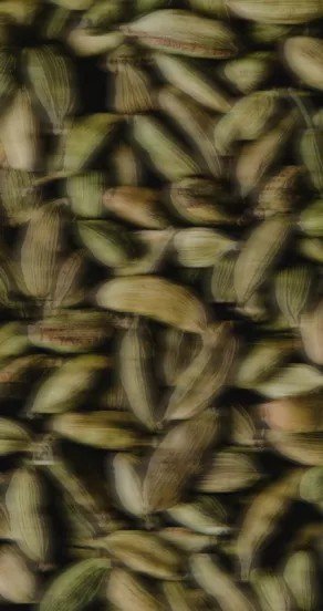 7. Close-up of cardamom pods, showcasing fresh and aromatic fragrance ingredients