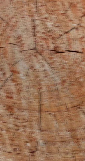 3. Close-up of wood grain texture representing the agarwood notes in the fragrance