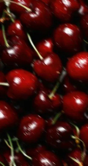 18. Close-up of ripe red cherries, highlighting a key fragrance note