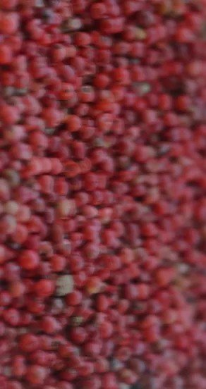 13. Close-up of red peppercorns, representing spicy scent elements