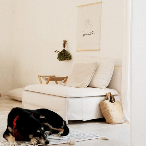3. Terra Mamma Serenita poster in a serene living room setting with a dog resting on a rug and a white sofa