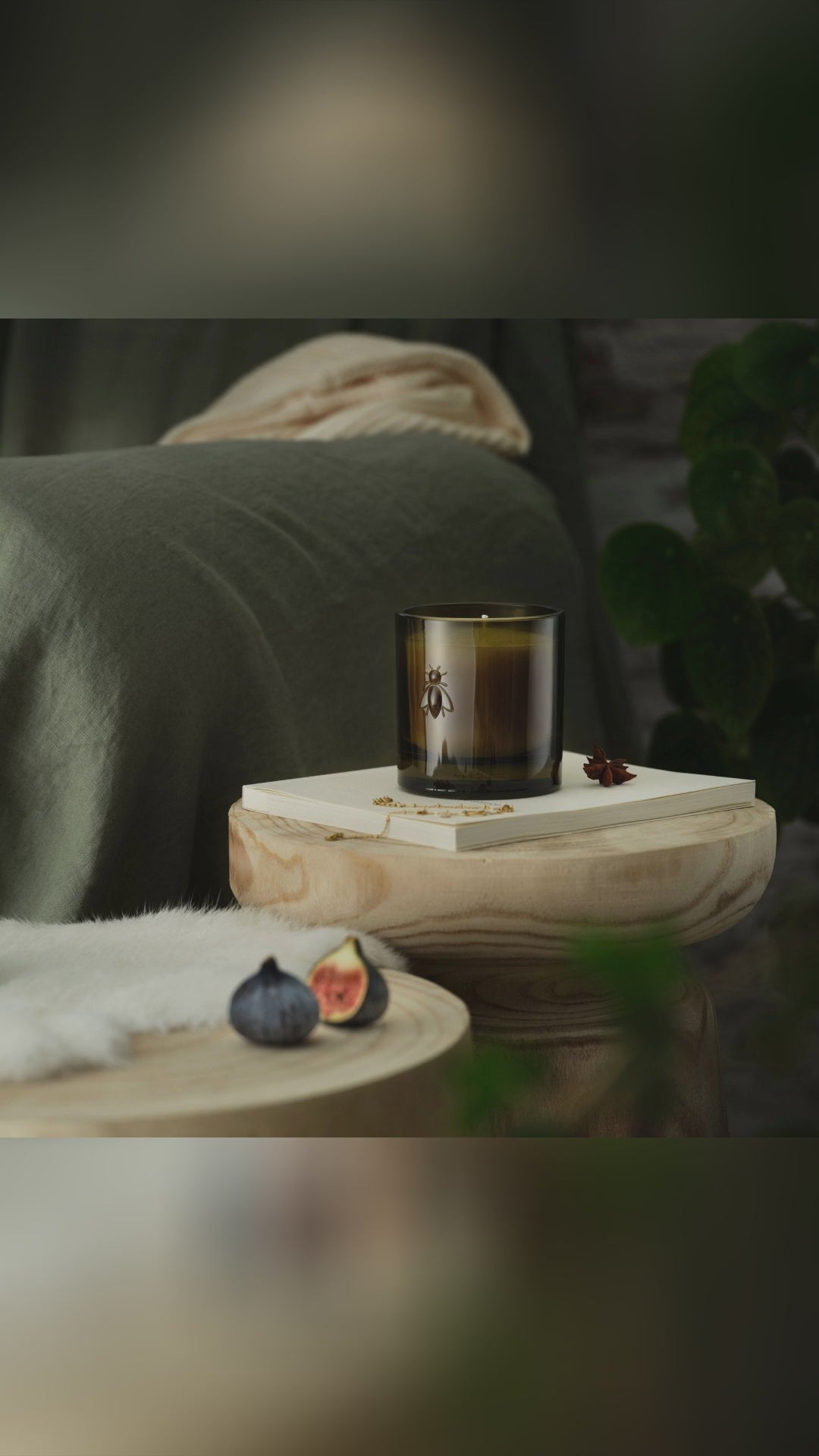 🕯️ Ever smelled a French orchard at golden hour? Ripe fig, soft florals, and a clean-burning candle in an elegant, reusable glass. Crafted by LaRochère in France. Hand-made in France with 100% vegetable wax. 55-hour glow, beautiful Provencal bee emblem, and a keepsake jar for after. Ready to bring Provence home? Save this for slow evenings; link in bio. Candles MadeInFrance