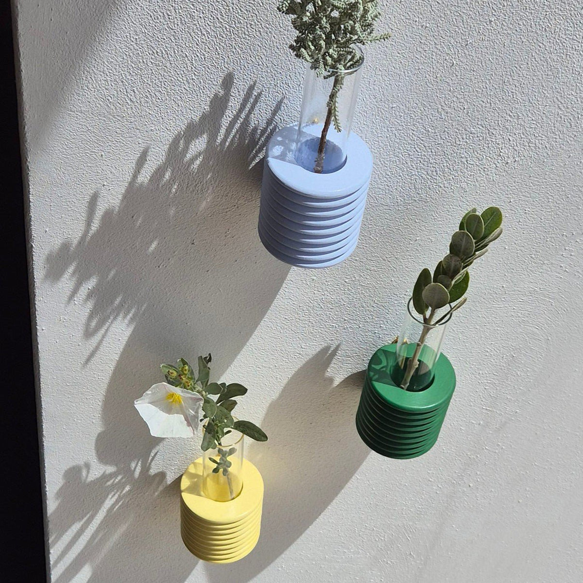 5. Close-up of Ribble Wall Vases in light blue, yellow, and green, with plants casting shadows