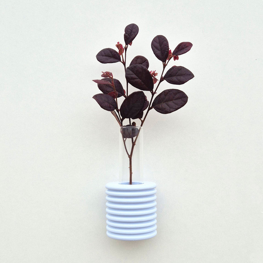 1. Ribble Wall Vase in light blue with dark foliage, showcasing elegant design and color contrast