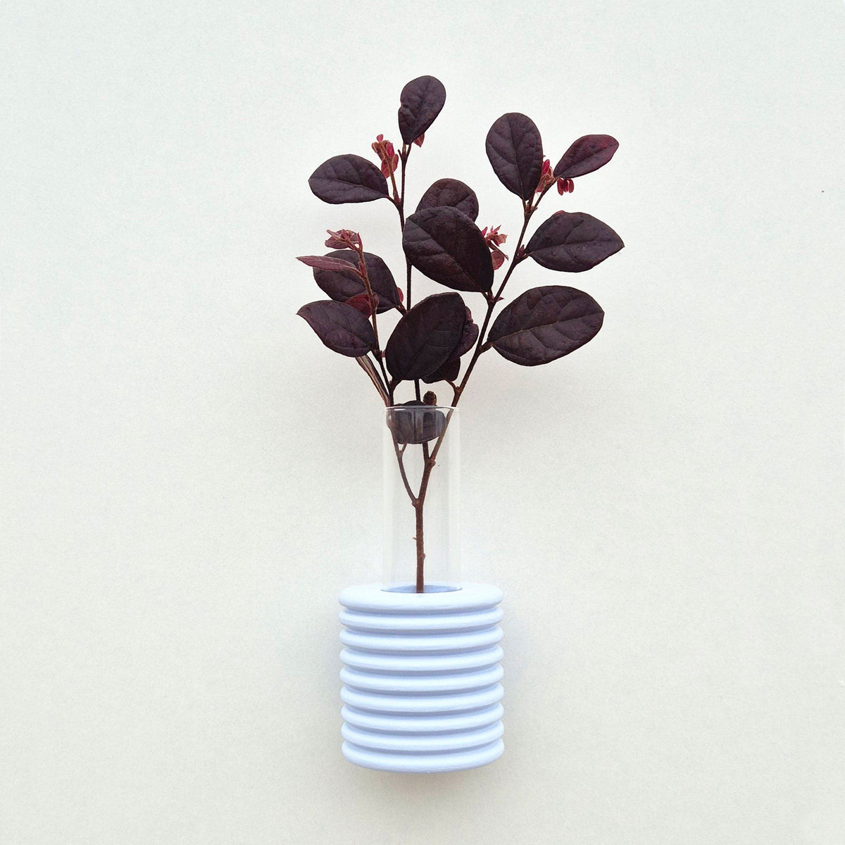 1. Ribble Wall Vase in light blue with dark foliage, showcasing elegant design and color contrast