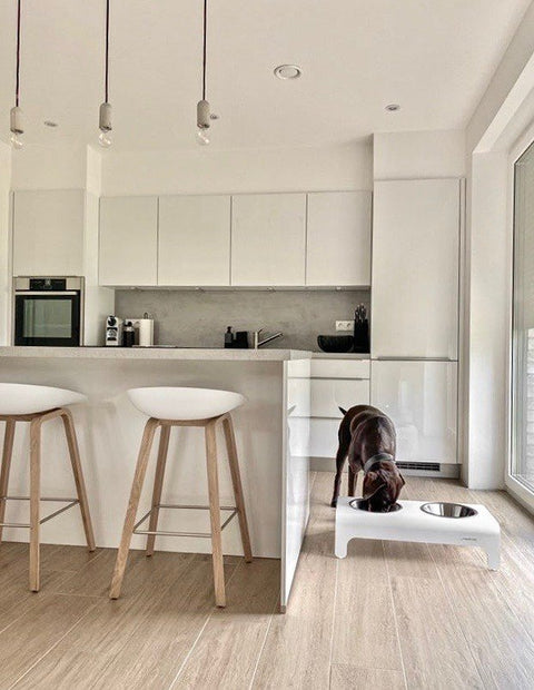 1. Dog eating from white Rico pet feeder with stainless steel bowls in modern kitchen setting