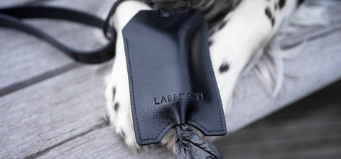 1. Black leather Saku bag dispenser by Labbvenn on a wooden surface with a dog's paws visible, showcasing luxury and functionality