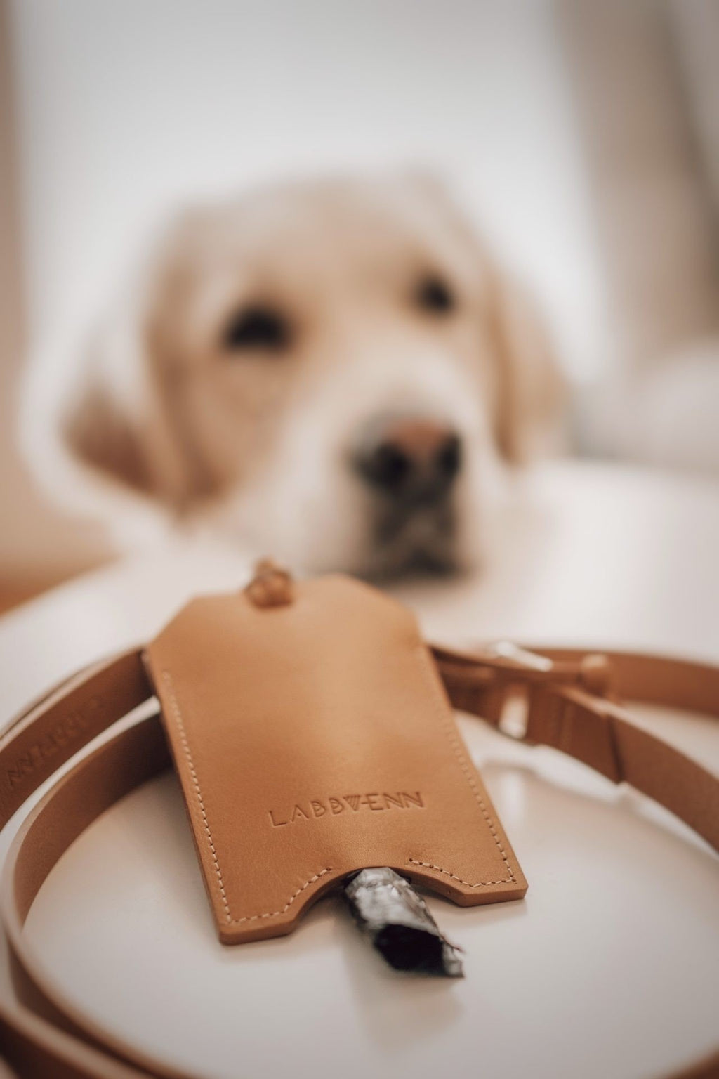 1. Camel leather bag dispenser with Labbvenn logo, paired with a leash, blurred dog in background