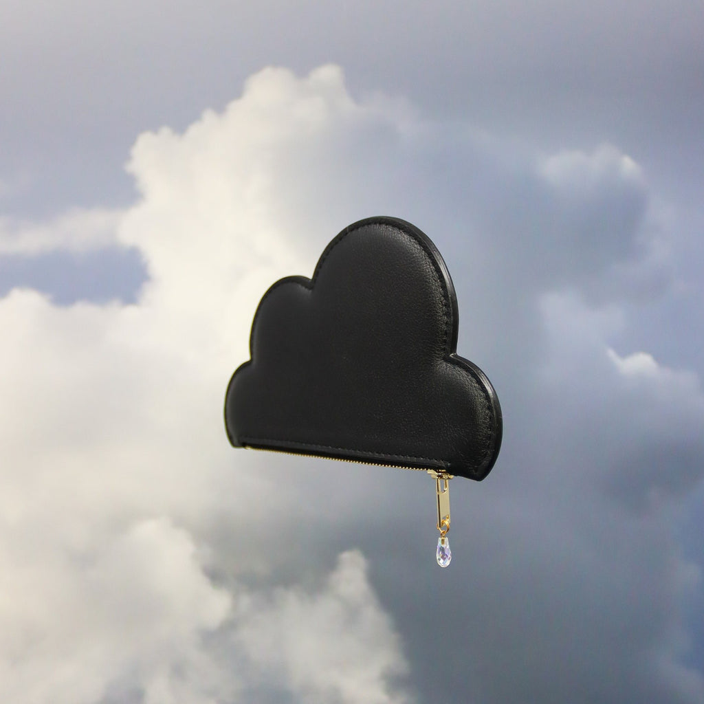5. Tairi Roosve black Leather Cloud Purse with Swarovski crystal zip, set against a cloudy sky