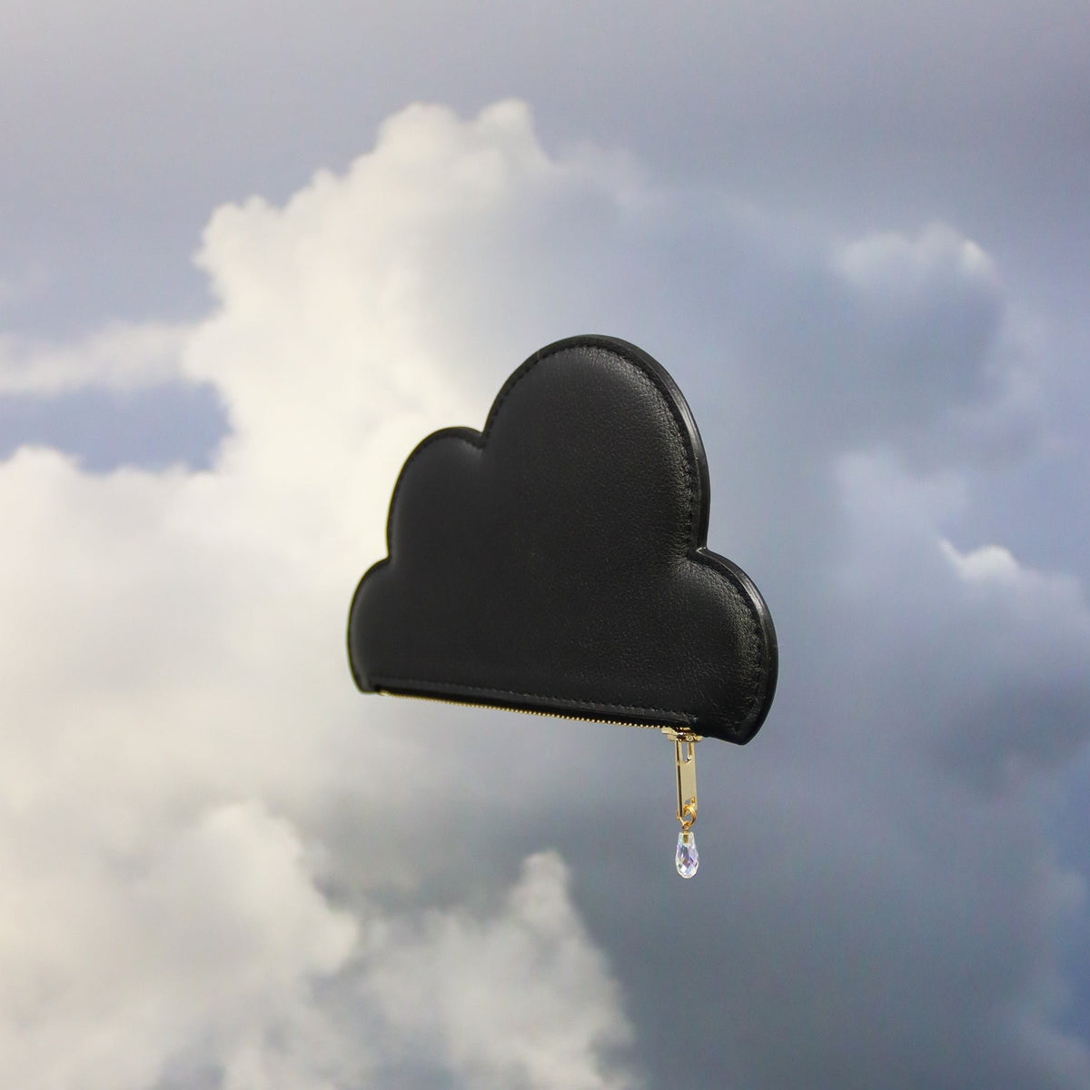 5. Tairi Roosve black Leather Cloud Purse with Swarovski crystal zip, set against a cloudy sky