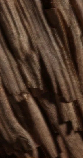 3. Close-up of oud wood texture with rich brown tones