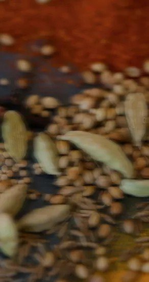 3. Assorted spices including cardamom and coriander, representing the complex notes in the Temple of Sensus perfume