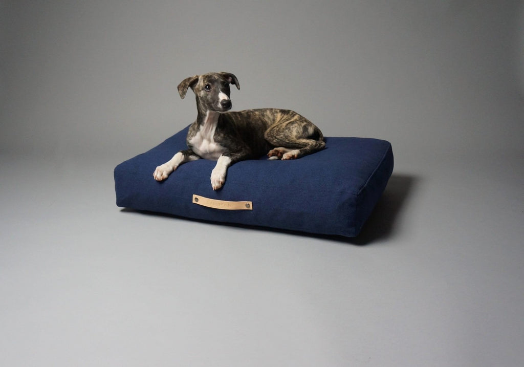 1. Brindle dog lying on Labbvenn Stockholm navy blue cushion with leather detail in studio setting