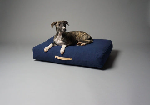 1. Brindle dog lying on Labbvenn Stockholm navy blue cushion with leather detail in studio setting