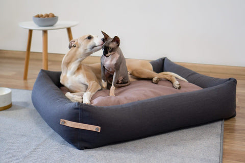 1. Two dogs lounging on grey and pink Stokke dog bed by Labbvenn in a cozy living room setting with wooden table and rug