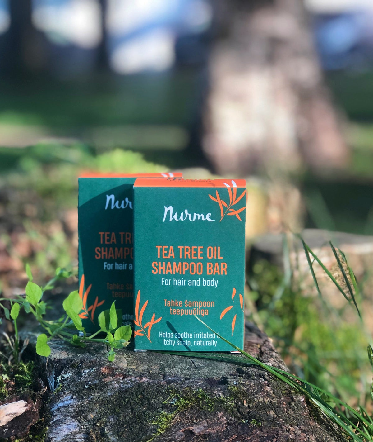 1. Nurme Tea Tree Oil Shampoo Bar in green packaging placed on a mossy rock in a natural outdoor setting