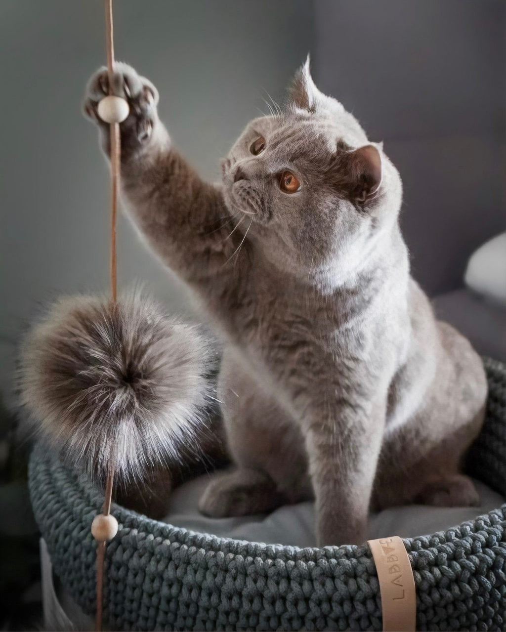 1. Grey cat playing with Labbvenn Tollo cat toy featuring anthracite faux fur balls and wooden elements in a cozy indoor setting