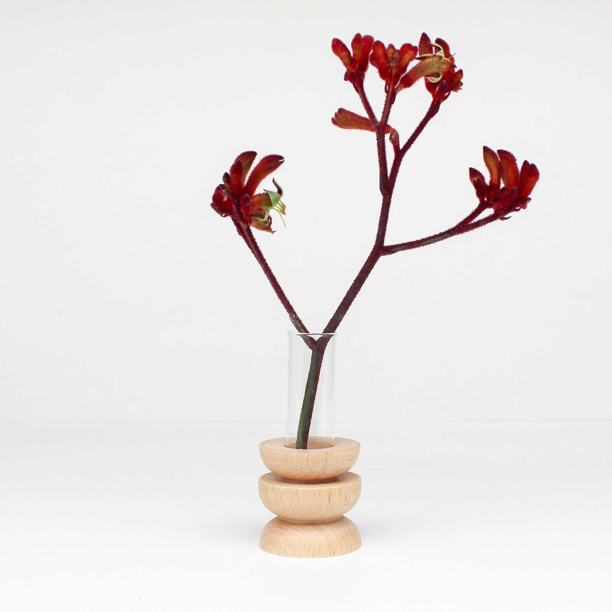 3. Studio shot of Totem Wooden Vase - Short Nº 4 by 5mm Paper with red flowers in a glass tube