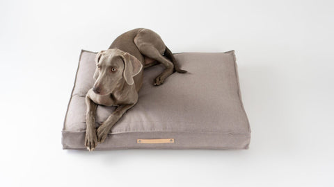 1. Grey dog lying on a beige Töve cushion by Labbvenn, featuring a leather handle, on a white background