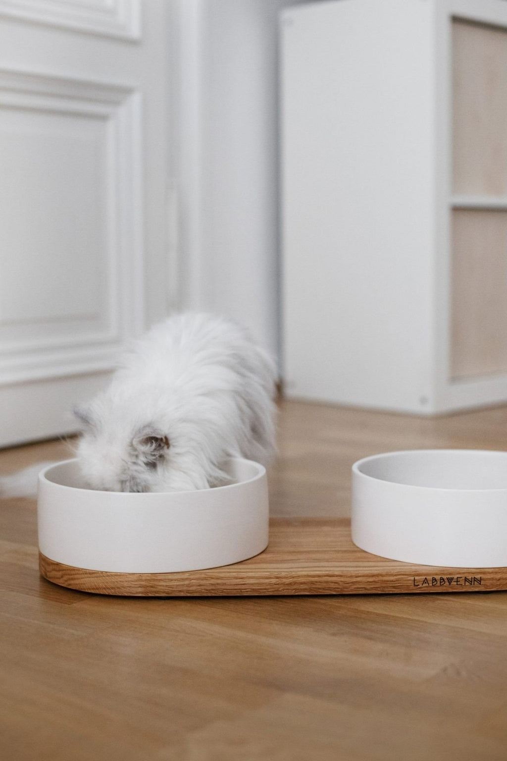 1. White ceramic double pet bowl on oak base with small white dog eating, placed on wooden floor in home interior