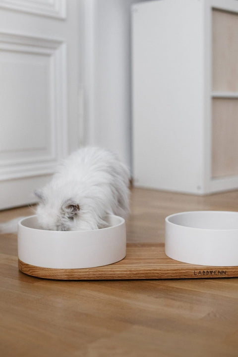1. White ceramic double pet bowl on oak base with small white dog eating, placed on wooden floor in home interior