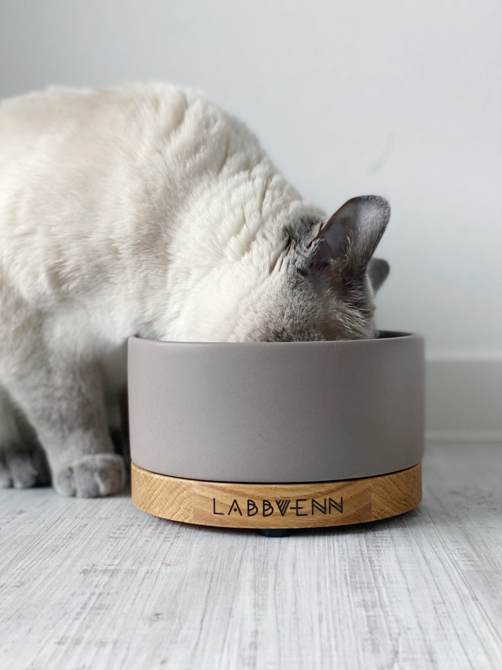 1. Cat eating from Labbvenn Vuku ceramic pet bowl with oak base on light wooden floor