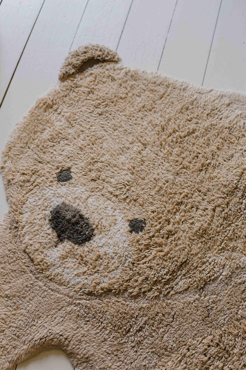3. Close-up of teddy bear rug's face showing brown eyes and voluminous mouth