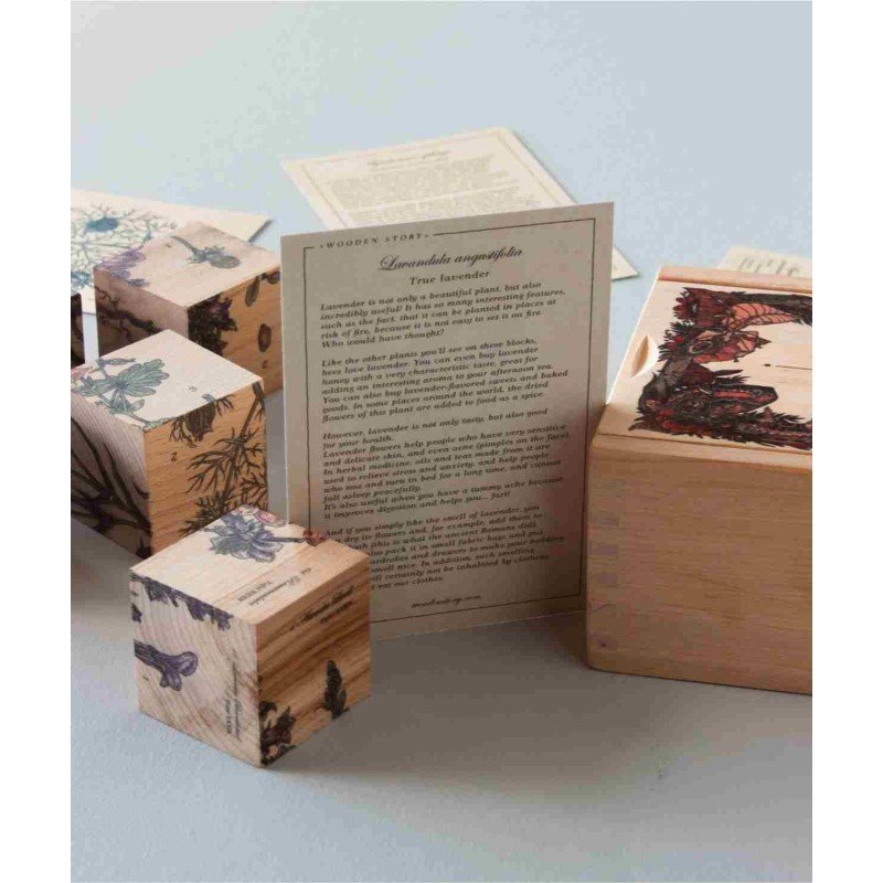 3. Close-up of Wooden Story Bee Life Blocks with plant illustrations and informational card