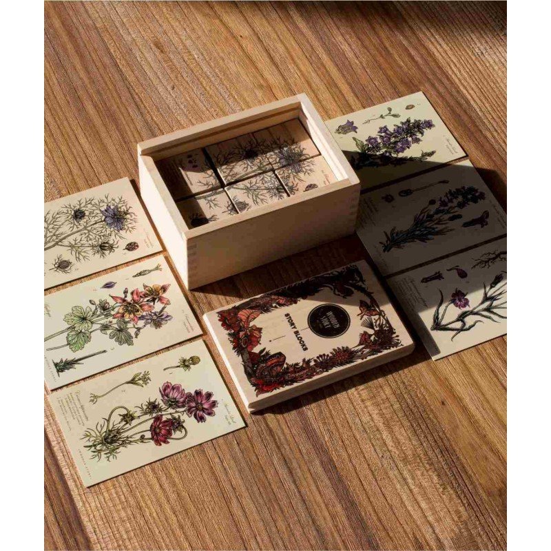 6. Wooden Story Bee Life Blocks with plant cards and box on wooden surface