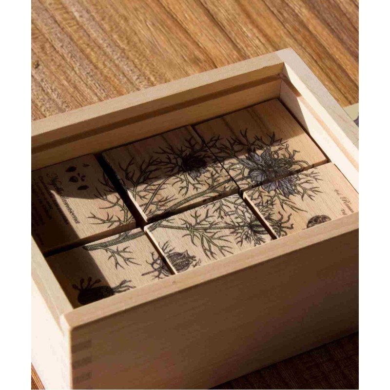 5. Wooden Story Bee Life Blocks arranged in box with plant illustrations on wooden surface
