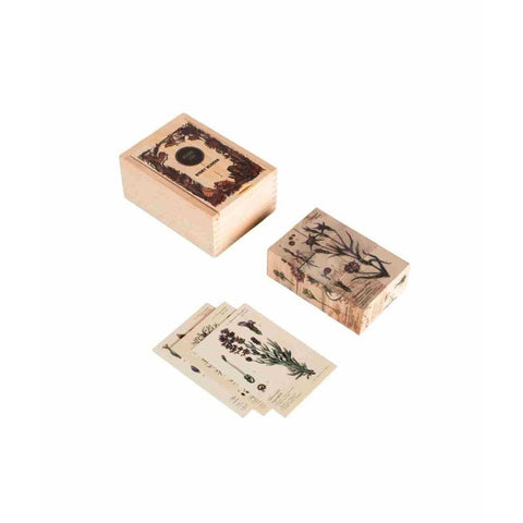 1. Wooden Story Bee Life Blocks set with illustrated plant cards and wooden box on white background