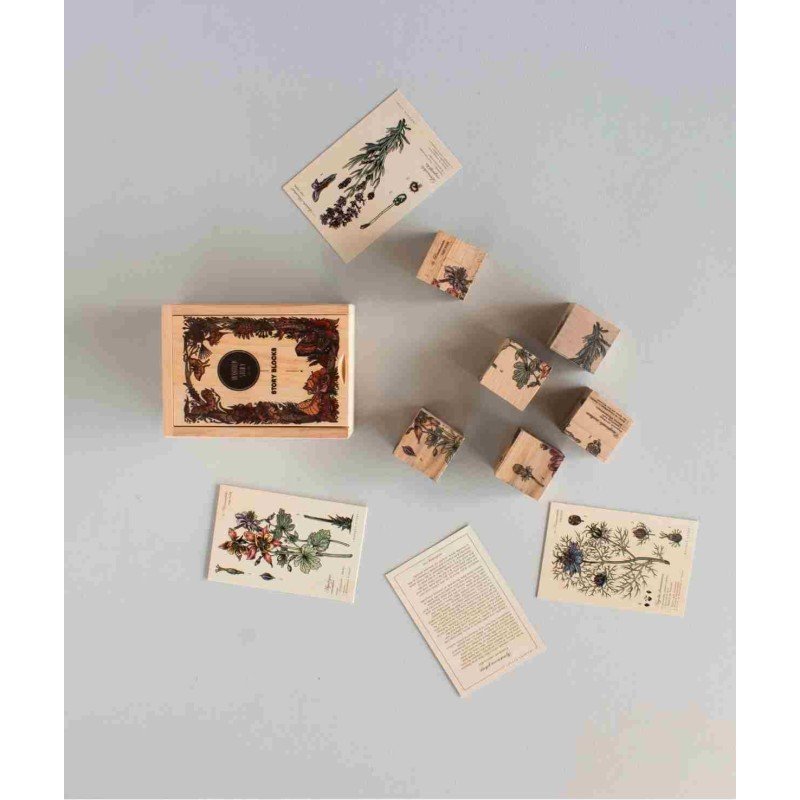 2. Top view of Wooden Story Bee Life Blocks with plant cards and wooden box on light surface