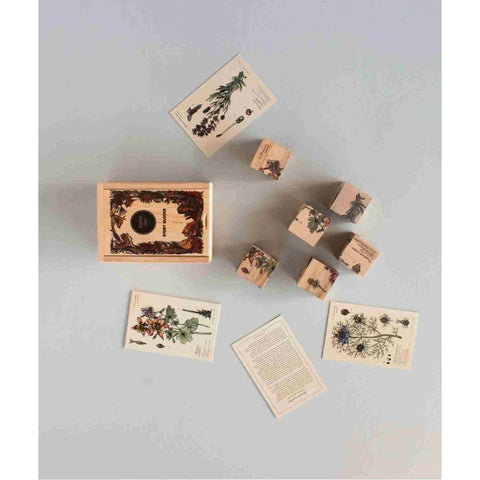 2. Top view of Wooden Story Bee Life Blocks with plant cards and wooden box on light surface